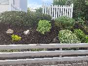 Lenhardts-Gartenpflege - GALLERY