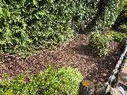 Lenhardts-Gartenpflege - GALLERY