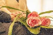 Lenke Bestattungen - GALLERY