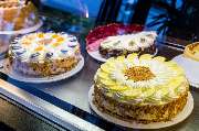 Leo's Schlemmer Café - GALLERY