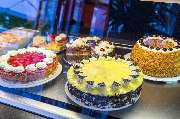 Leo's Schlemmer Café - GALLERY