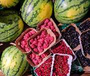 Leprima Biomarkt - GALLERY