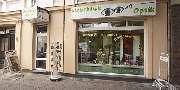 Lichtblick Optik - GALLERY