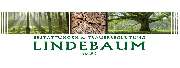 Lindebaum - Bestattungen & Trauerbegleitung - GALLERY