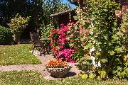 LINDENHOF Hotel Garni - GALLERY