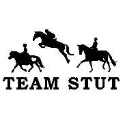 Lindenhof - Reitstall Stut - LOGO