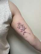 Line Tattoo & Piercing Heilbronn - 28