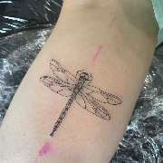 Line Tattoo & Piercing Heilbronn - 3