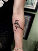 Line Tattoo & Piercing Heilbronn - 30
