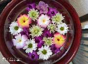 Linly Thai Massage - GALLERY