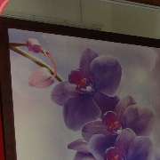 Linly Thai Massage - GALLERY