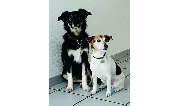 Lipper Erdmute Dr. und Lindgens Jasmin - GALLERY