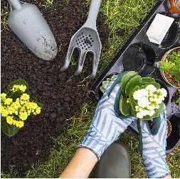 Litaj Gebäudeservice - 3