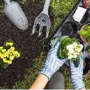 Litaj Gebäudeservice - 3