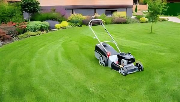 Lizard Hausmeisterservice - 3