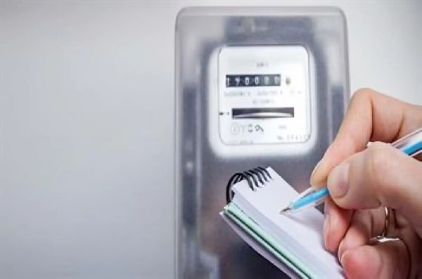 Lizard Hausmeisterservice - 5