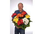 Löwer grün erleben Blumen - GALLERY