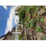 Loft Hotel Hölsterloh - GALLERY