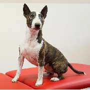 Logopädie & Ergotherapie - Inh. Isabell Naujock - GALLERY