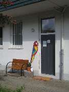 Logopädie in Anderten - GALLERY