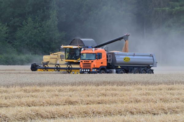 Lohnbetrieb Dammann GmbH - Lohnarbeiten