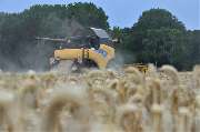 Lohnbetrieb Dammann GmbH - Lohnarbeiten