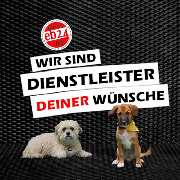 Lokallisto - LOKAL | DIGITAL | ÜBERALL - NACHHALTIG - 17