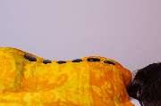 Lomi Lomi Oluea Massage - GALLERY