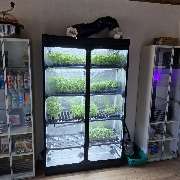 Vitrinen im Shop