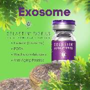 LS Medical GmbH - GALLERY