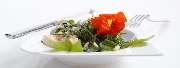 Luchterhand Bio-Catering - 4