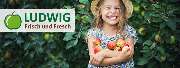 Ludwig Obst - GALLERY