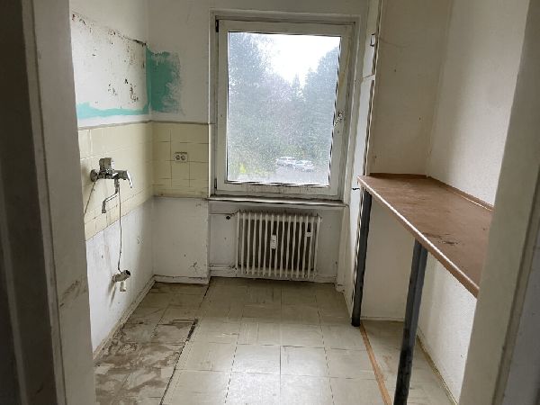 Lüne Entrümpler - IMG_6277.jpeg