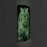 LUMINOASE, Snjezana Kapetanovic - 2