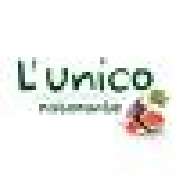 L'unico - 1