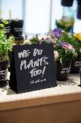 LUSH Cosmetics München - GALLERY
