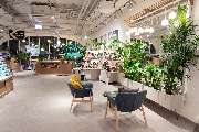 LUSH Cosmetics München - GALLERY