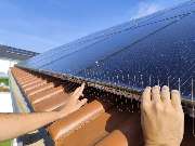 Lutz und Lutz - Taubenabwehr PV