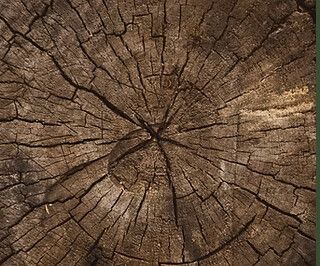 Luwa Gartenbau - Luwa Gartenbau