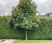 Luwa Gartenbau - Luwa Gartenbau