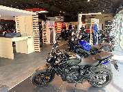 M.A.D. Motorräder - GALLERY