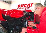 M.A.D. Motorräder - GALLERY