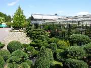 M. Hörmann Baumschulen - GALLERY