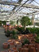 M. Hörmann Baumschulen - GALLERY