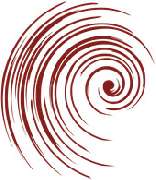 M. Röhrdanz & Kollegen Fachärzte für Neurochirurgie - 1