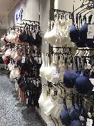 M. Schneider Offenbach GmbH & Co. KG - GALLERY