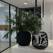 MADELEINE FLORALDESIGN - GALLERY