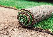 Mähroboter - Rollrasen - Rasenpflege - Gartendesing Niederrhein und Umgebung - Mähroboter - Rollrasen - Rasenpflege - Gartendesing Niederrhein und Umgebung