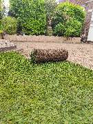 Mähroboter - Rollrasen - Rasenpflege - Gartendesing Niederrhein und Umgebung - Mähroboter - Rollrasen - Rasenpflege - Gartendesing Niederrhein und Umgebung