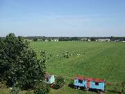 Märkischer Hof Schöbendorf - Baruther Urstromtal im Sommer